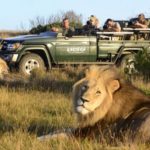 Fede Safarirejser til en god pris her