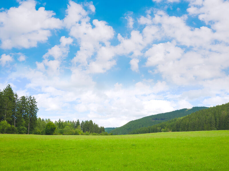 Alt du behøver vide om græsklipning