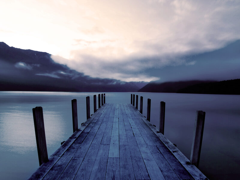 6 grunde til, at du bør investere i en mole